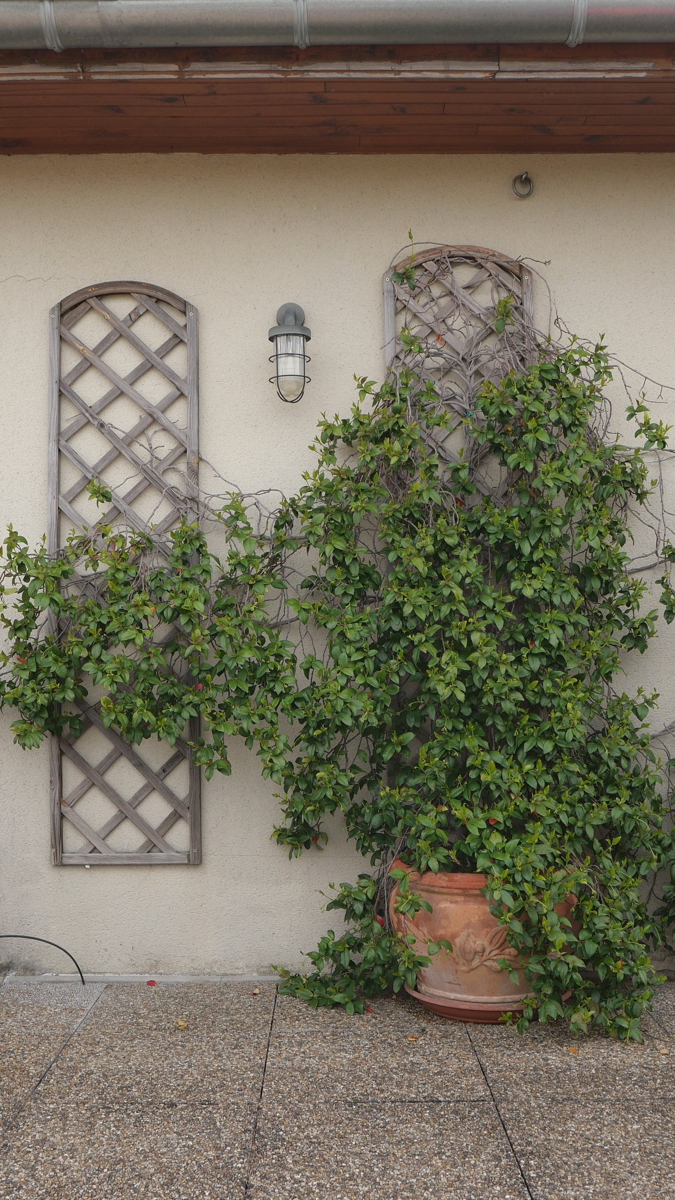 La Robe ZIGZAG - Vert Olive